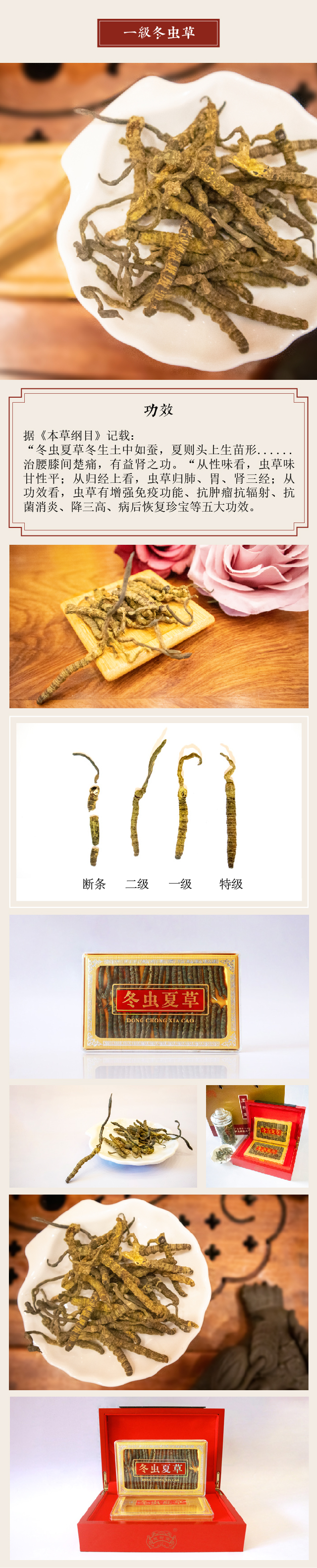 \"一级.jpg\"/
